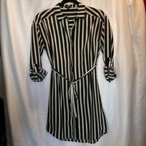 Express Shirt dress